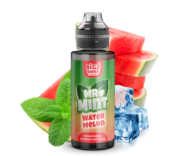 Big Bottle - Mr. Mint - Watermelon Longfill