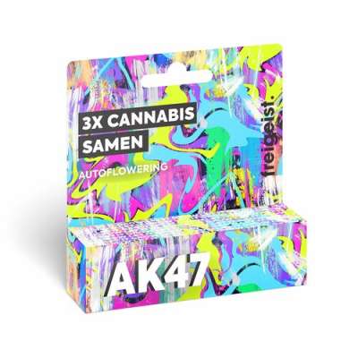 elfbar elfa master akku freigeist CBD Disposable Vape Lemon OG kaufen | Hanfjack main image 0